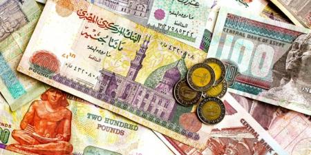 سعر الدولار اليوم مقابل الجنيه المصري.. ارتفاع في البنوك - اليوم الإخباري