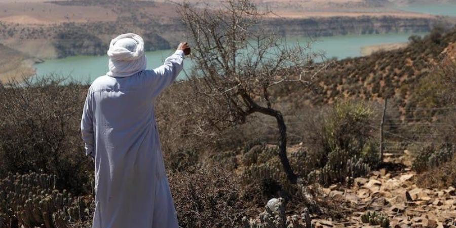 "نمو رهين بسخاء السماء" .. تفسيرات اقتصاديين للتطورات الفصلية بالمغرب - اليوم الإخباري