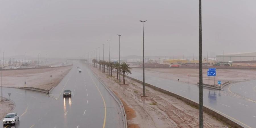 طقس المملكة.. أمطار مصحوبة بزخات من البرد ورياح مثيرة للأتربة - اليوم الإخباري