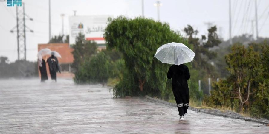 حتى الثلاثاء المقبل.. أمطار متباينة الشدة على 5 مناطق - اليوم الإخباري