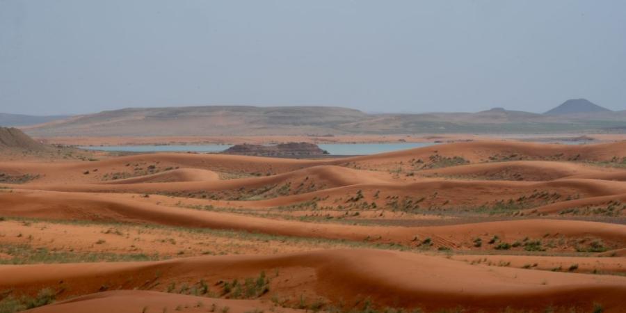 "محمية الملك سلمان" تنضم إلى القائمة الخضراء للاتحاد الدولي لحفظ الطبيعة - اليوم الإخباري