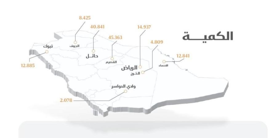 صرف 256 مليون ريال مستحقات الدفعة الرابعة لمزارعي القمح المحلي - اليوم الإخباري