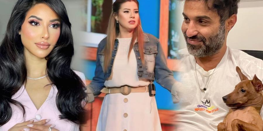 بسبب الكلاب.. حملة من فناني مصر ضد كلية الطب البيطري - اليوم الإخباري