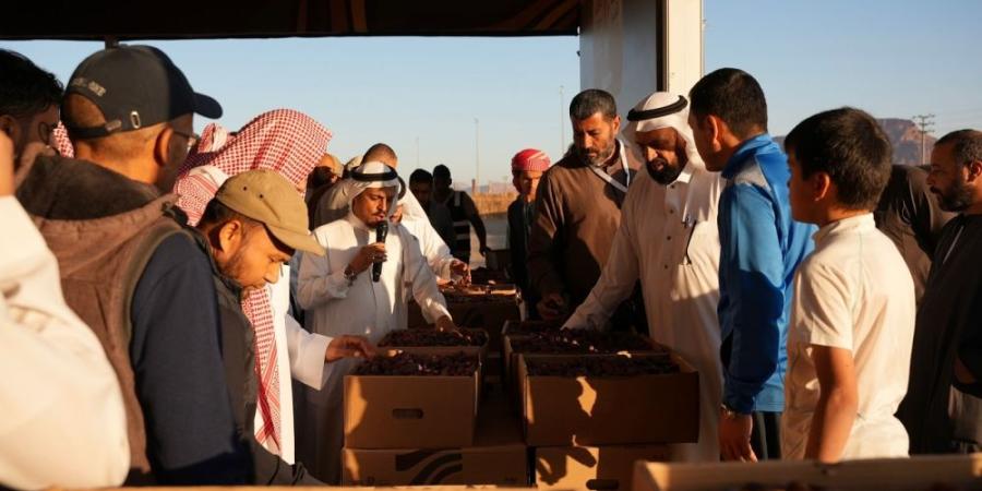 صور| انطلاق فعاليات موسم التمور بسوق المزارعين بمحافظة العلا - اليوم الإخباري