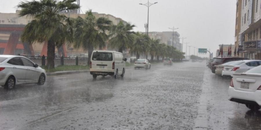 الأماكن والمواعيد.. أمطار خفيفة إلى متوسطة على الرياض - اليوم الإخباري